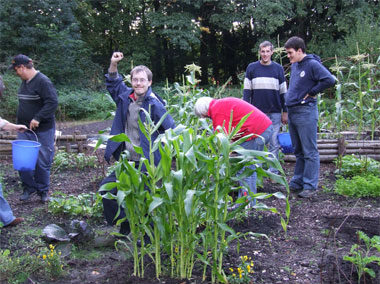 Gartenprojektgruppe