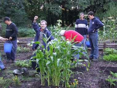 Gartenprojektgruppe